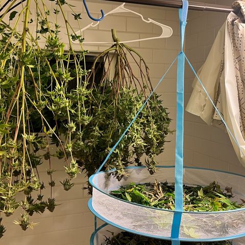 Wedding Cake2 growlog timeline photo