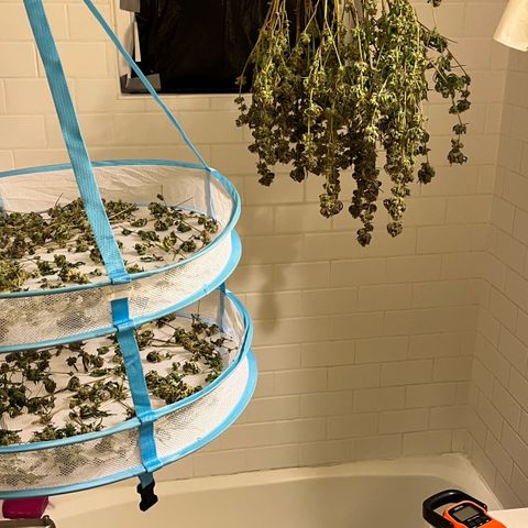Wedding Cake2 growlog timeline photo