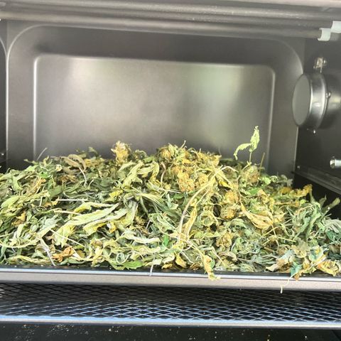 Wedding Cake2 growlog photo: Making edibles