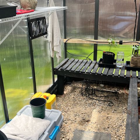 Wedding Cake2 growlog photo: Set up my greenhouse with Tropf system, i want to get the hang with vegetables before I move to cannabis. 