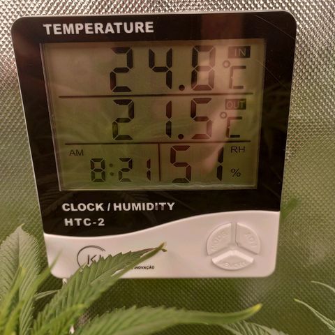 Critical Orange Punch #1 growlog timeline photo