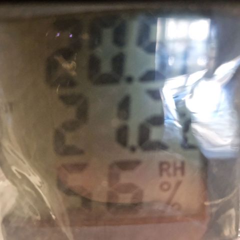 Sideral growlog photo: 21 C y 56% humedad. 15:38
