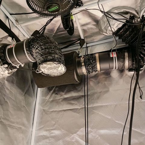Apple Drops growlog photo: Equipment