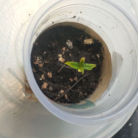 Kenny growlog timeline photo