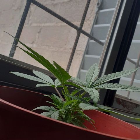 Kenny growlog timeline photo