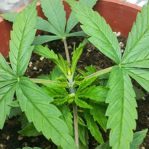 Kenny growlog timeline photo