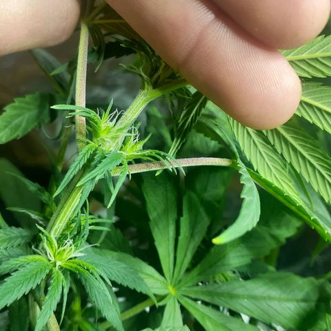 Kenny growlog timeline photo