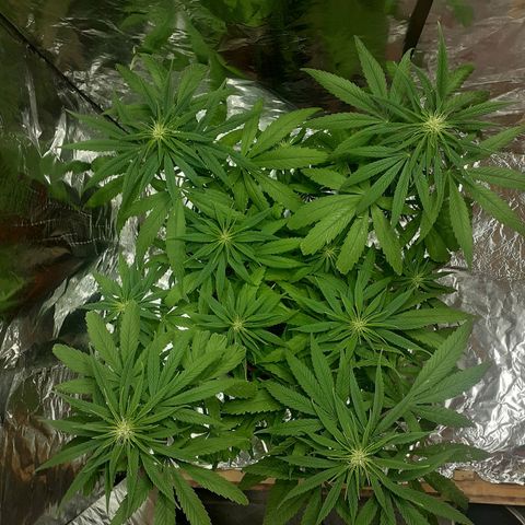 Kenny growlog timeline photo