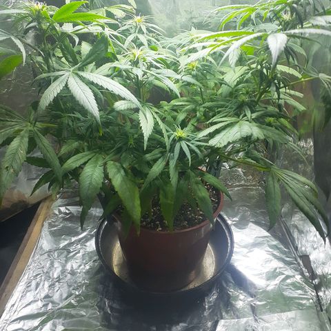 Kenny growlog timeline photo