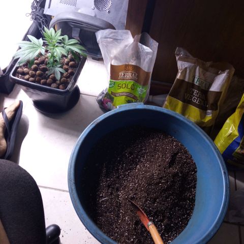 Prensados  growlog photo: Vasos definitivos 