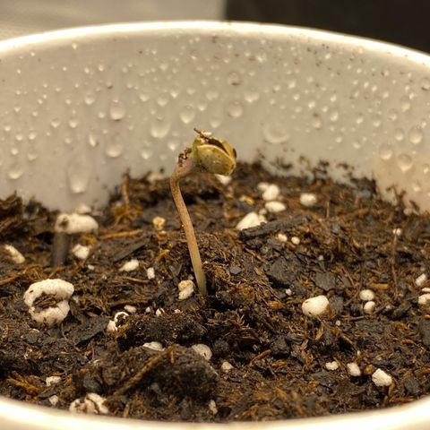 Jack cool  growlog timeline photo