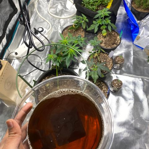 Jack cool  growlog timeline photo
