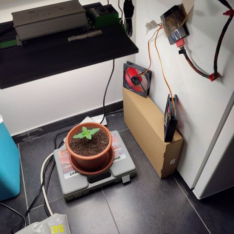 Mary Jane growlog timeline photo