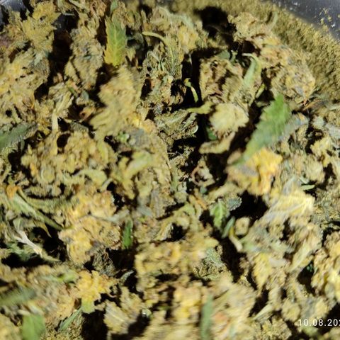 Mary Jane growlog timeline photo