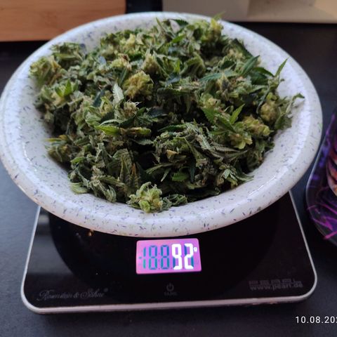 Mary Jane growlog timeline photo