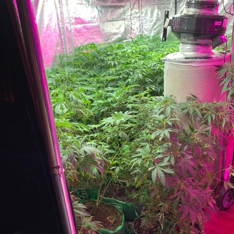 Gas mask  growlog timeline photo