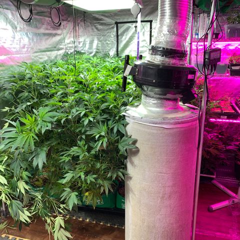 Gas mask  growlog photo: Going out