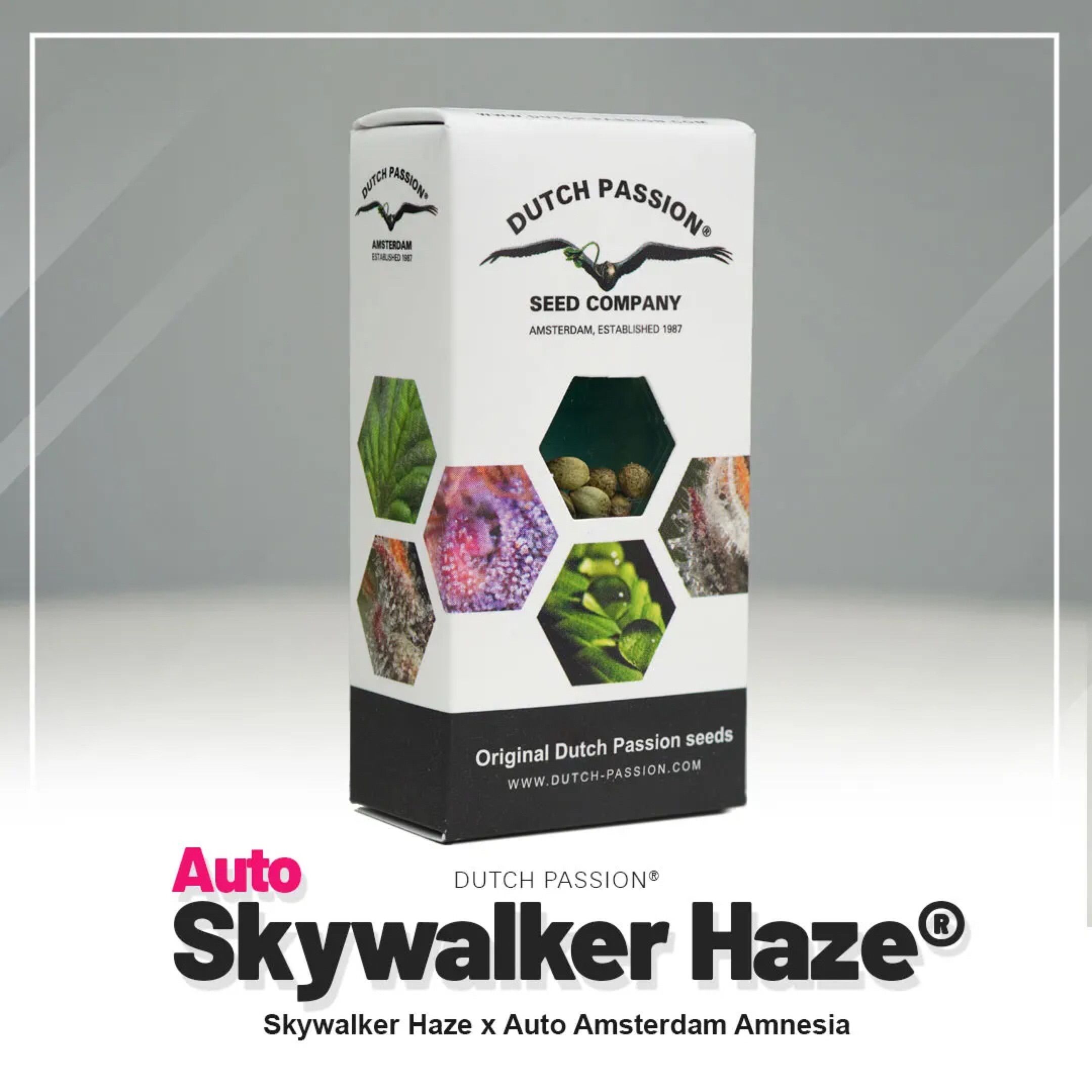 Auto Skywalker Haze growlog header