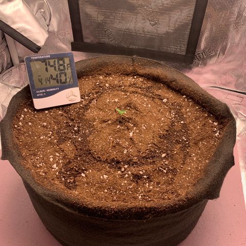 Auto kryptonite growlog timeline photo