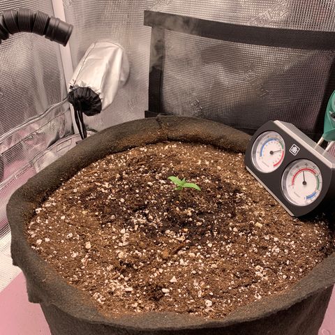 Auto kryptonite growlog photo: Added humidifier. (That works)