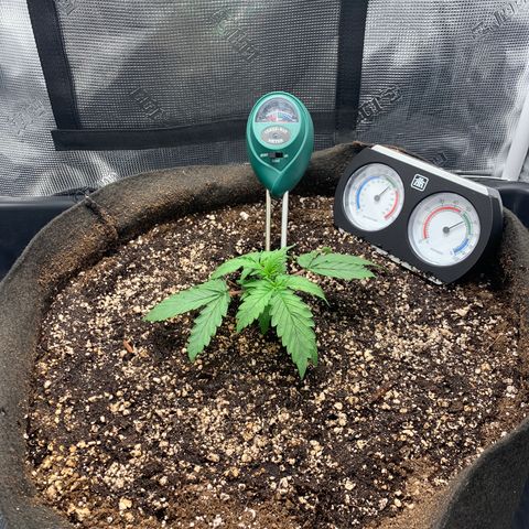 Auto kryptonite growlog photo: 1L water with recharge. (Eyeball amount.)