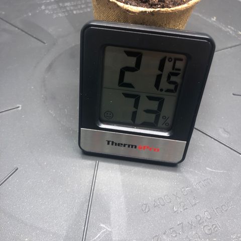Critical Kush (nickname MEGARA) growlog photo: Tag 2

