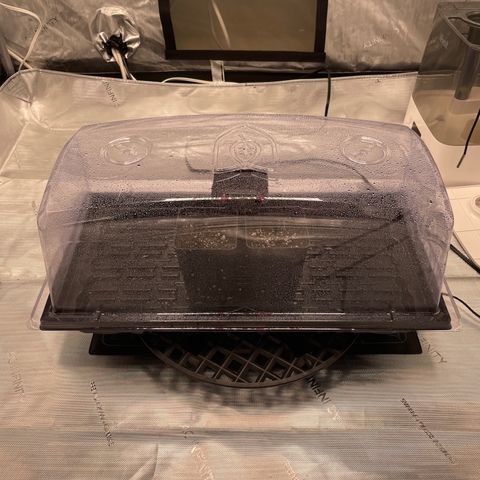 Hella Jelly ~ H.S.C growlog timeline photo