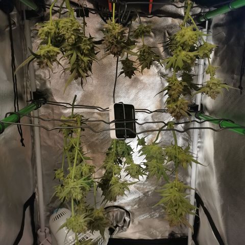 Sky growlog timeline photo