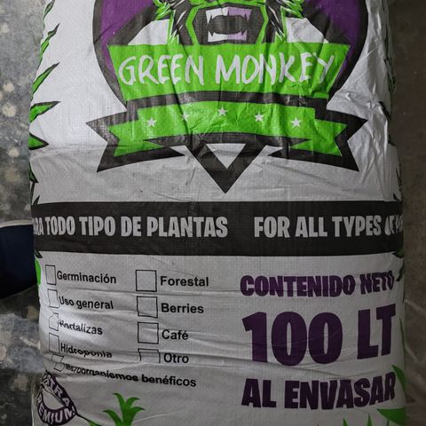 SUPER LEMON HAZE, MOBY-D, CRITICAL +2 & GORILLA GLUE #4 growlog photo: Usamos un sustrato Light Mix, de retención media y PH de 6.5. Agregamos un poco de micorrizas granulares para fomentar el crecimiento radicular y humectamos abundantemente.