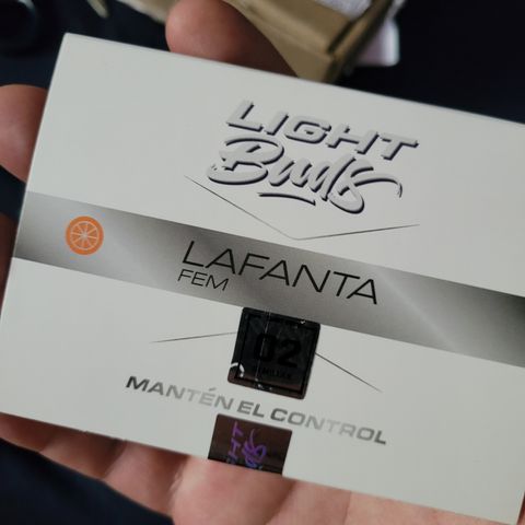 LAFANTA CBD growlog photo: Germinaremos una semilla feminizada de LAFANTA (Ligh Buds) del banco BSF, con un alto porcentaje de CBD y bajo de THC.
