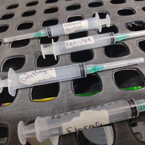LAFANTA CBD growlog photo: Solo usamos para las plantulas CalMag y enraizante para tener un agua base con una EC de 0.4 y evitar deficiencias tempranas. Y esos son los productos de General HYDROPONICS que usaremos cuando empiece la etapa vegetativa, usamos 1 jeringa para hacer la mezcla por cada uno de los productos.