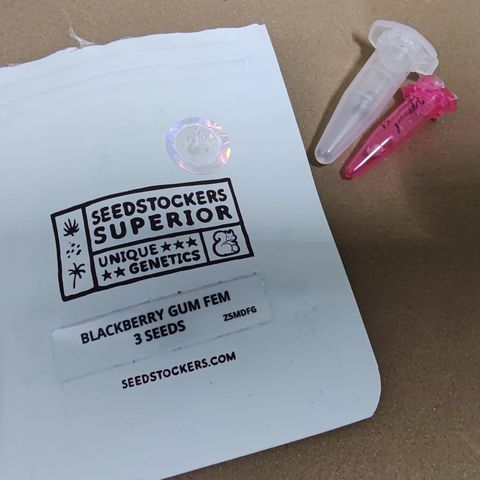 Blackberry Gum growlog photo