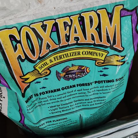 Blackberry Gum growlog photo: Usaremos sustrato Ocean Forest de FoxFarm para todas las etapas de cultivo 