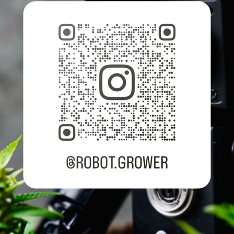 Blackberry Gum growlog photo: Síganme en Instagram con el siguiente código 