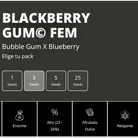 Blackberry Gum growlog photo: Un poco de información sobre las genéticas que estamos cultivando.