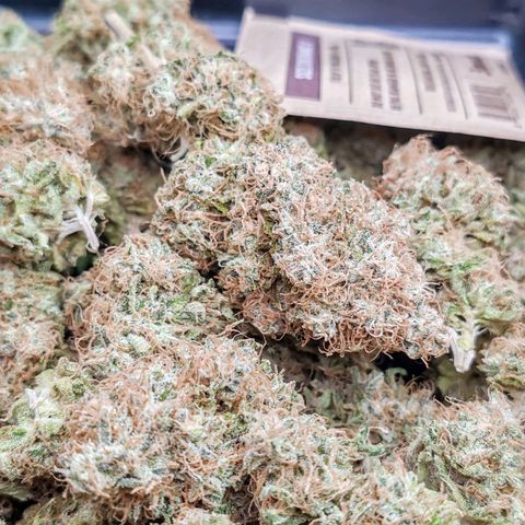 Blackberry Gum growlog timeline photo