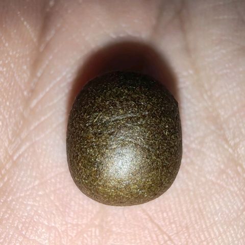 Blackberry Gum growlog timeline photo