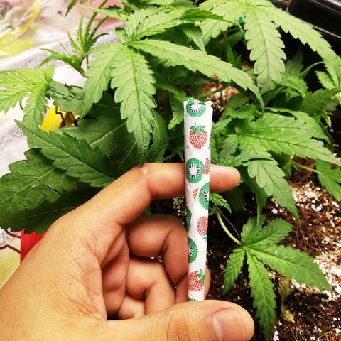 AK Automatic growlog timeline photo