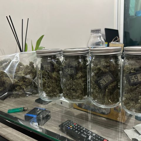 Green Crack growlog timeline photo