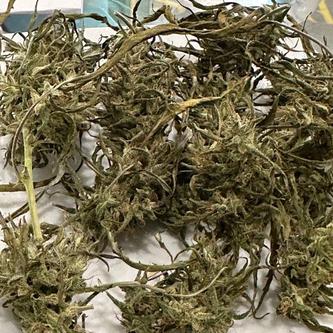 Green Crack growlog timeline photo