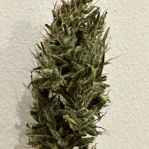 Green Crack growlog timeline photo