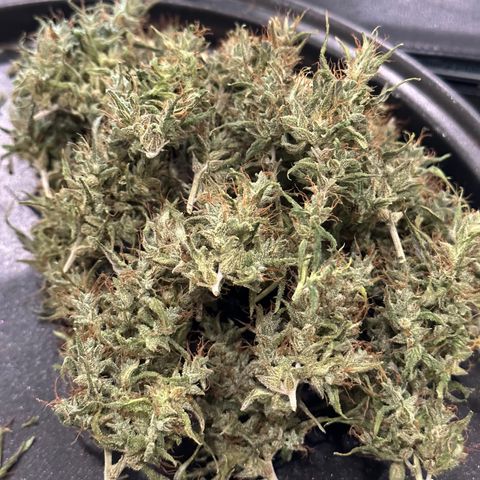 Green Crack growlog timeline photo