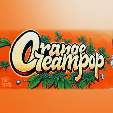 Humboldt Orange Creampop #1 growlog timeline photo