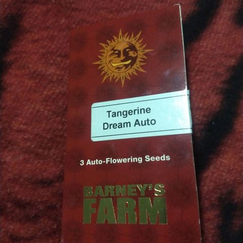 Tangerine Dream Auto growlog timeline photo