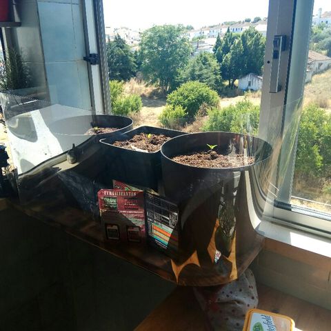 Jaina / Sylvanas / Aleria #1 growlog timeline photo