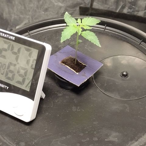 Sublimator Auto growlog photo: Espigo 5cm aprox. 