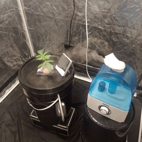 Sublimator Auto growlog timeline photo