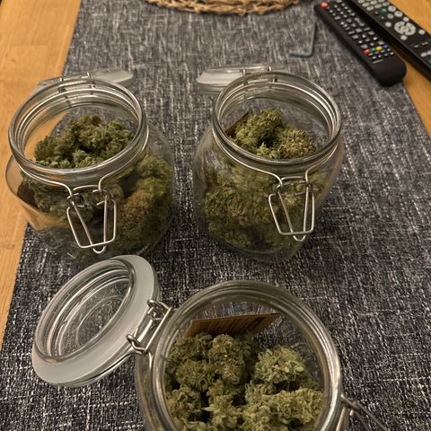 Jacky #2 growlog timeline photo
