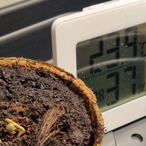 Bettii growlog timeline photo