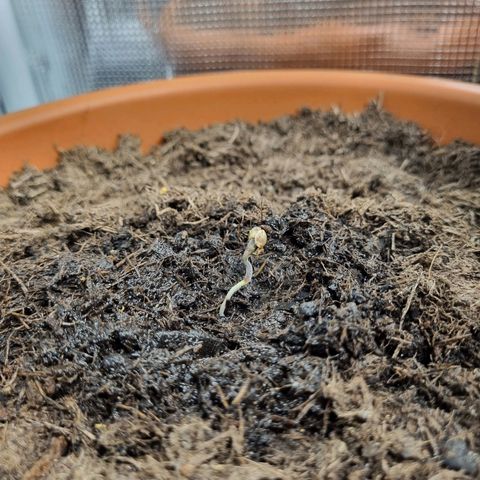 Patricia's Bitch Ass growlog timeline photo